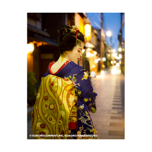 ILFORD Washi Torinoko for FineArt Album, 110 g/qm, 210x335mm