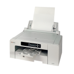 Sawgrass SG800 - Dye Sublimation Printer A3, mit Tintenset