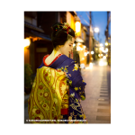 ILFORD Washi Torinoko for FineArt Album, 110 g/qm, 210x245mm