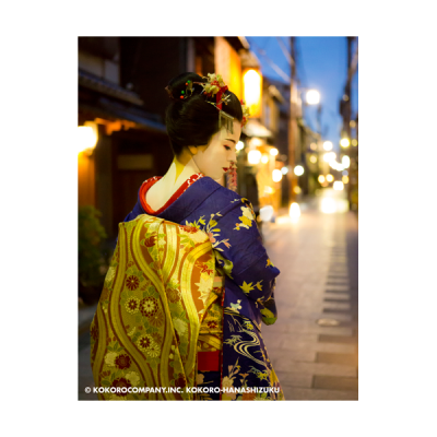 ILFORD Washi Torinoko for FineArt Album, 110 g/qm, 330x518mm