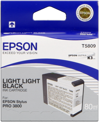 Epson Tinte light light black für Epson 3800/3880 - 80 ml